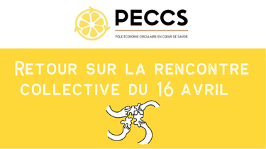 rencontre collective 16 avril PECCS