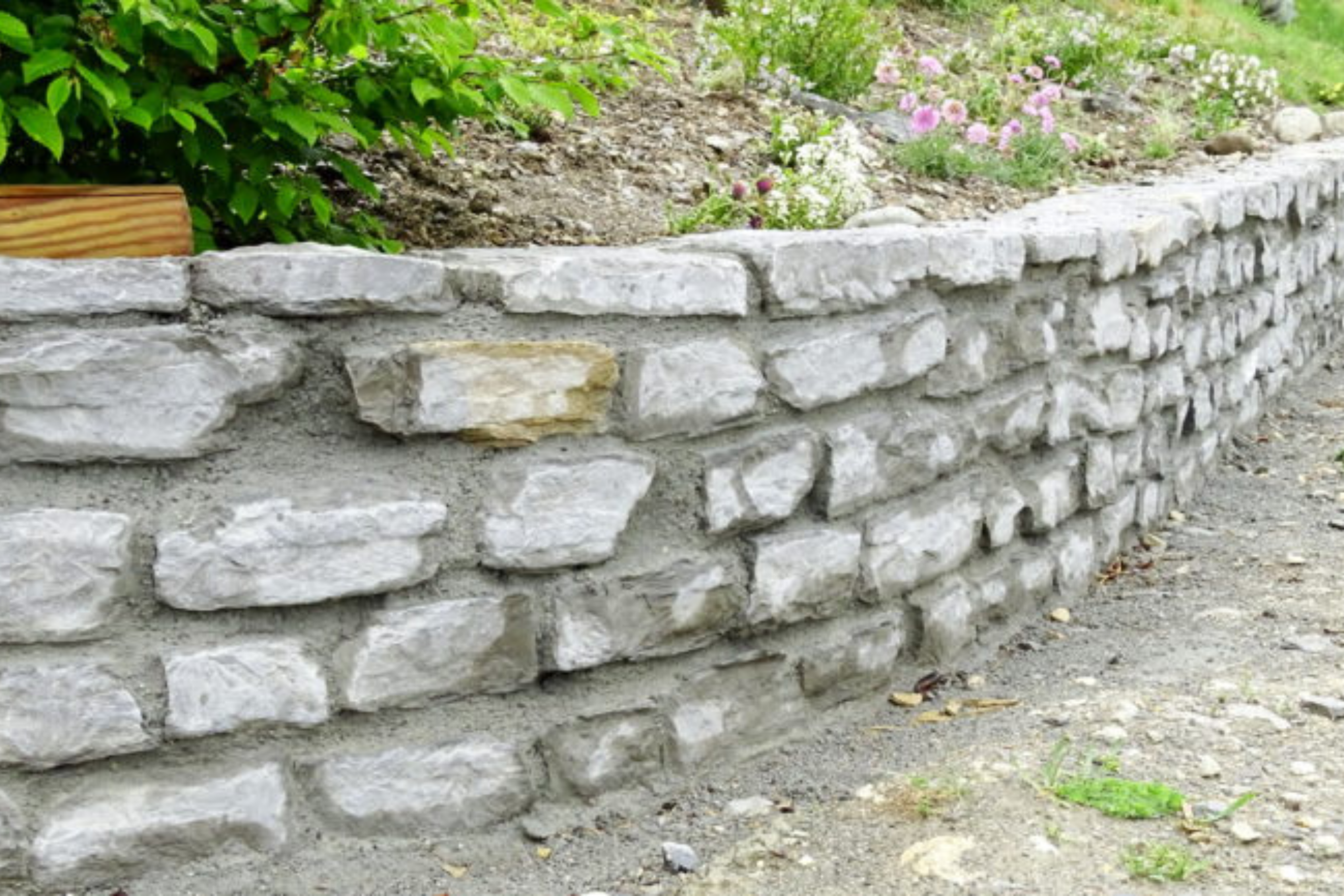 Chantier Terre de Valeurs - Image 2